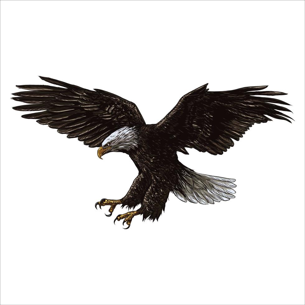 águila calva americana ilustración vectorial vector