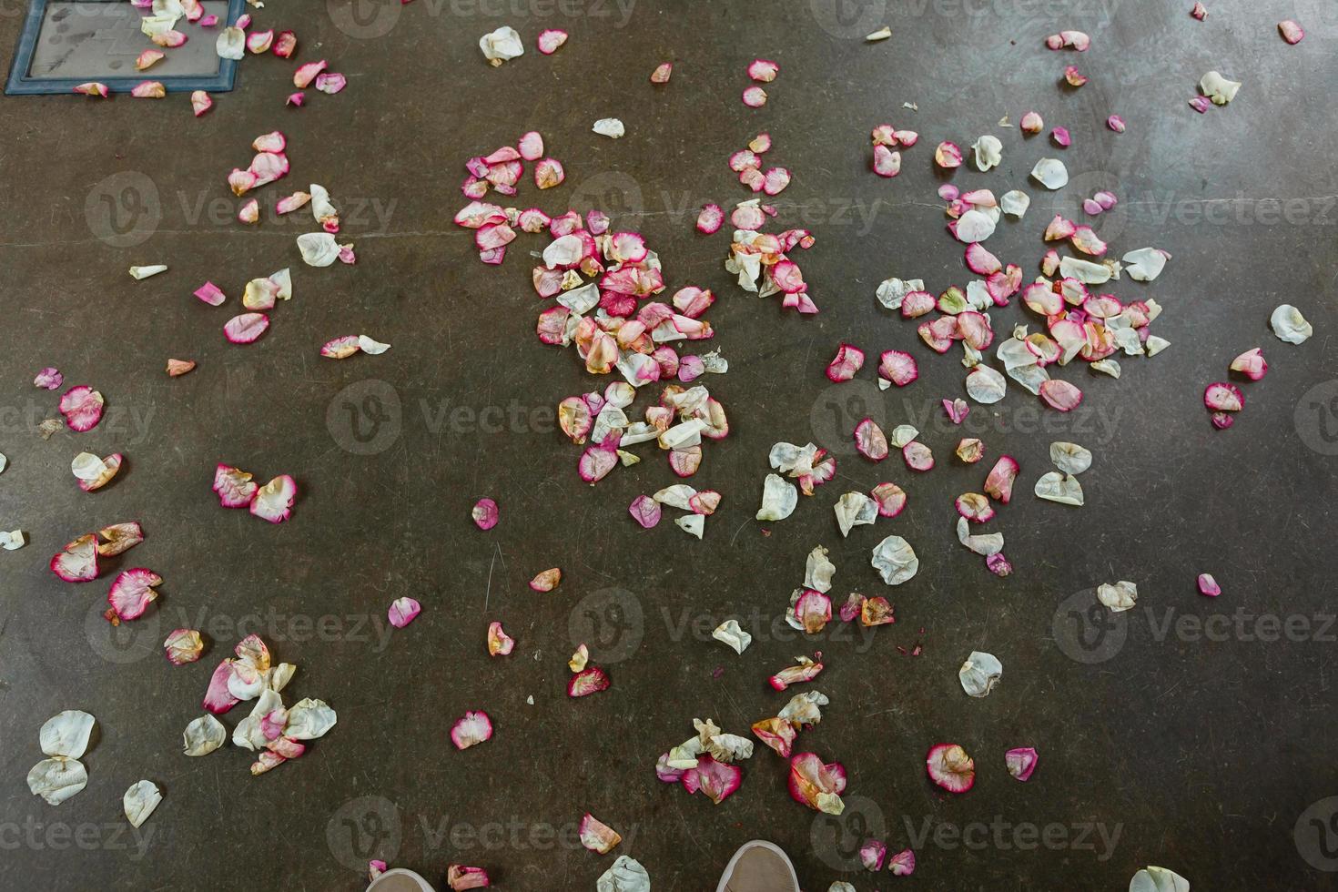 rose petals and rice scattered on a grey surface photo