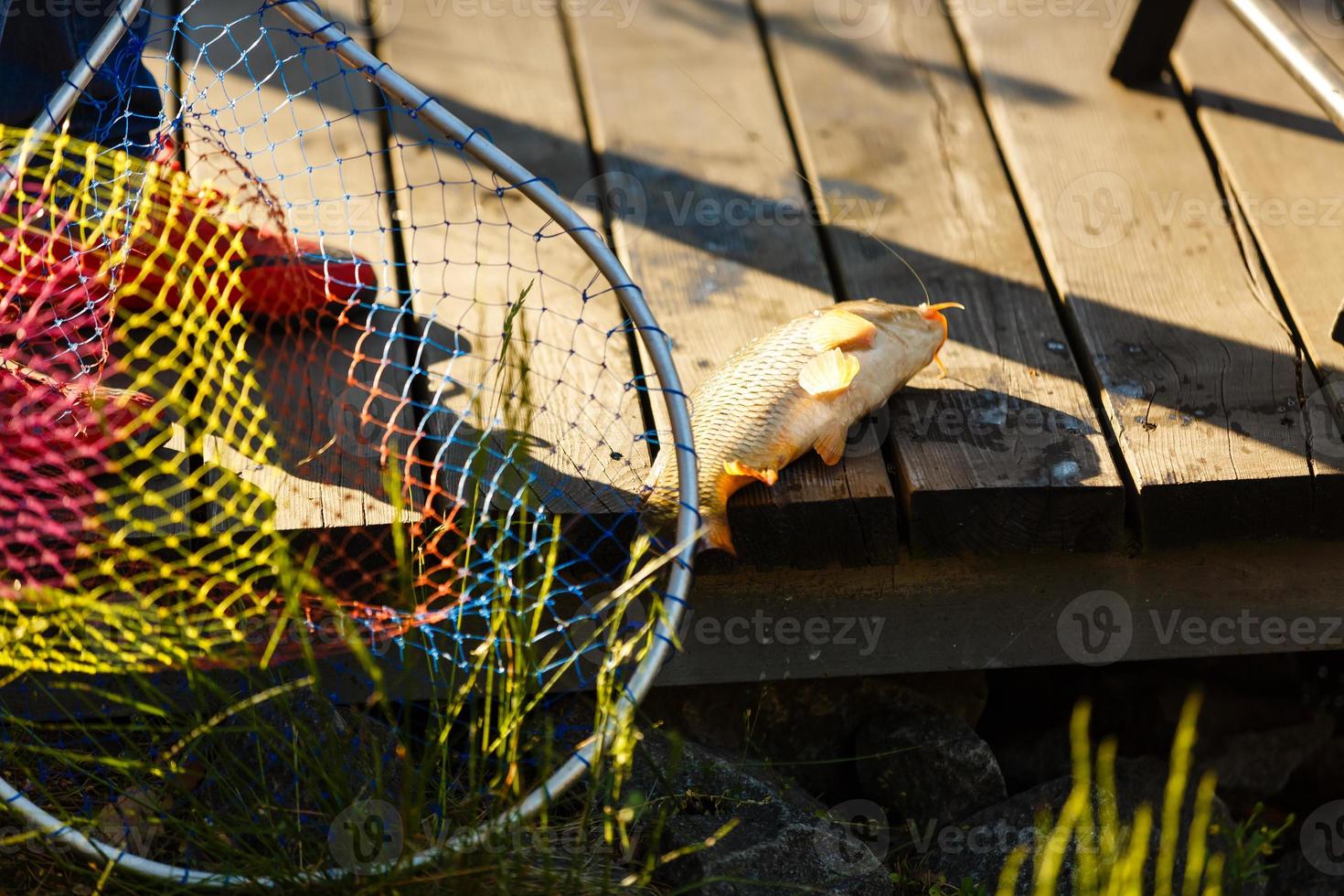 A hand net for scooping fish in water. photo