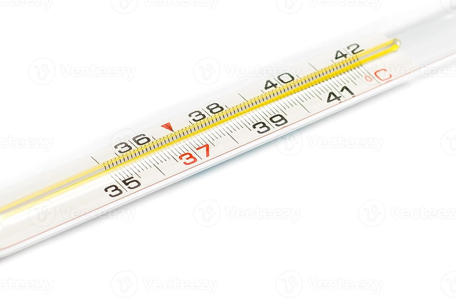 Single thermometer against white background photo