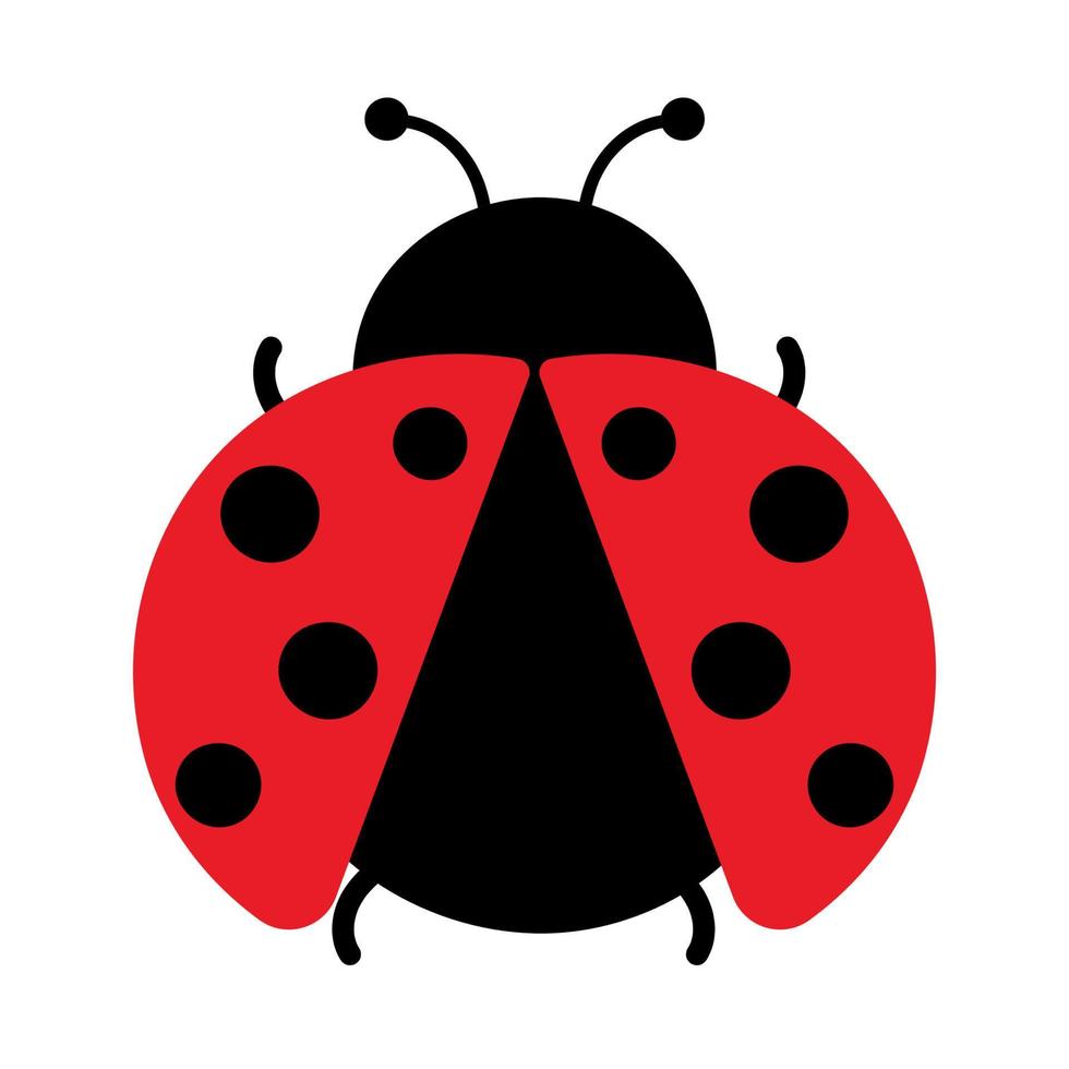 Cute Ladybug Insect Animal Animated Vector Illustration