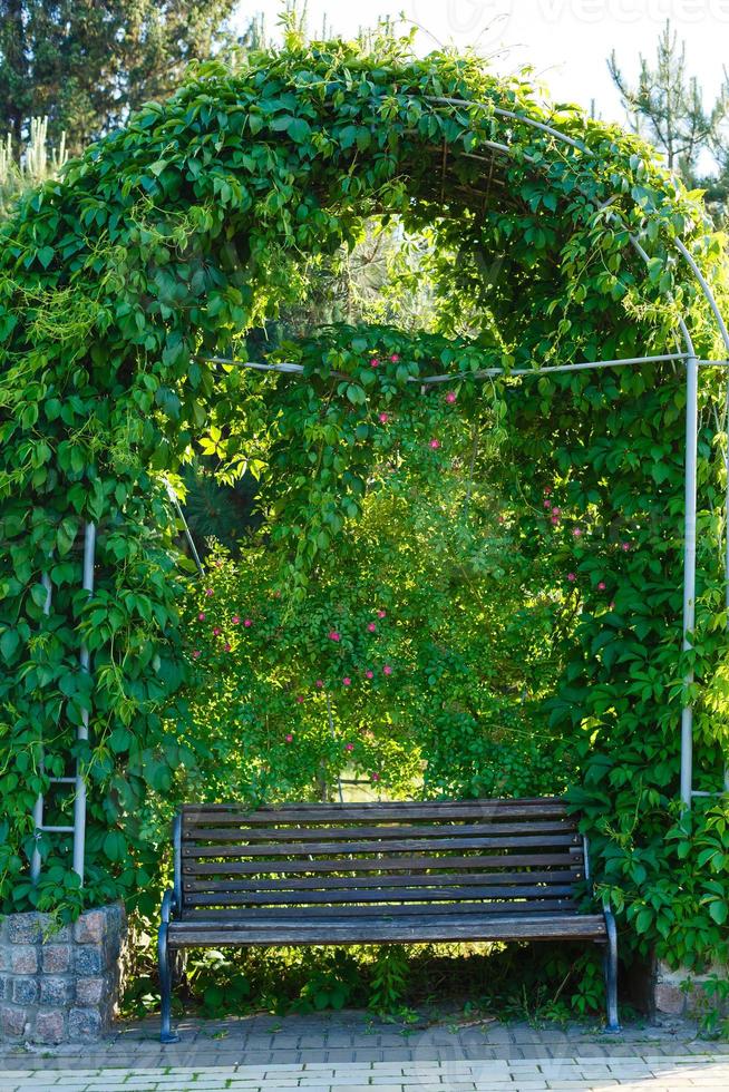 bench in the autumn park photo