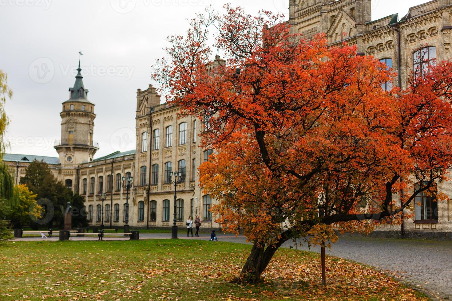 Autumn Landscape in the park, University of Kiev photo