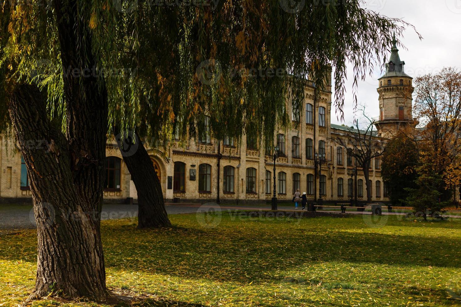 Autumn Landscape in the park photo