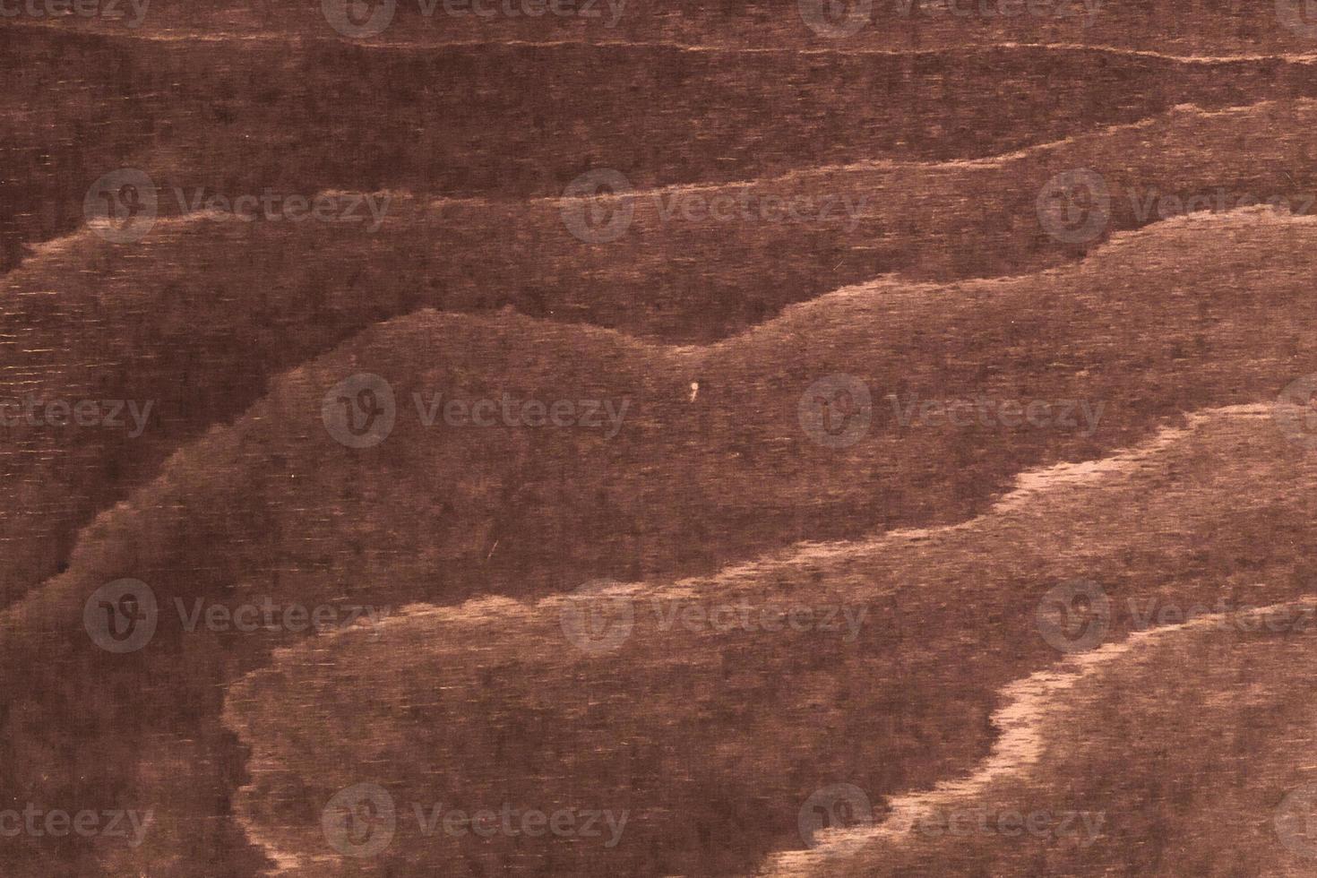 texture of bark wood use as natural background photo