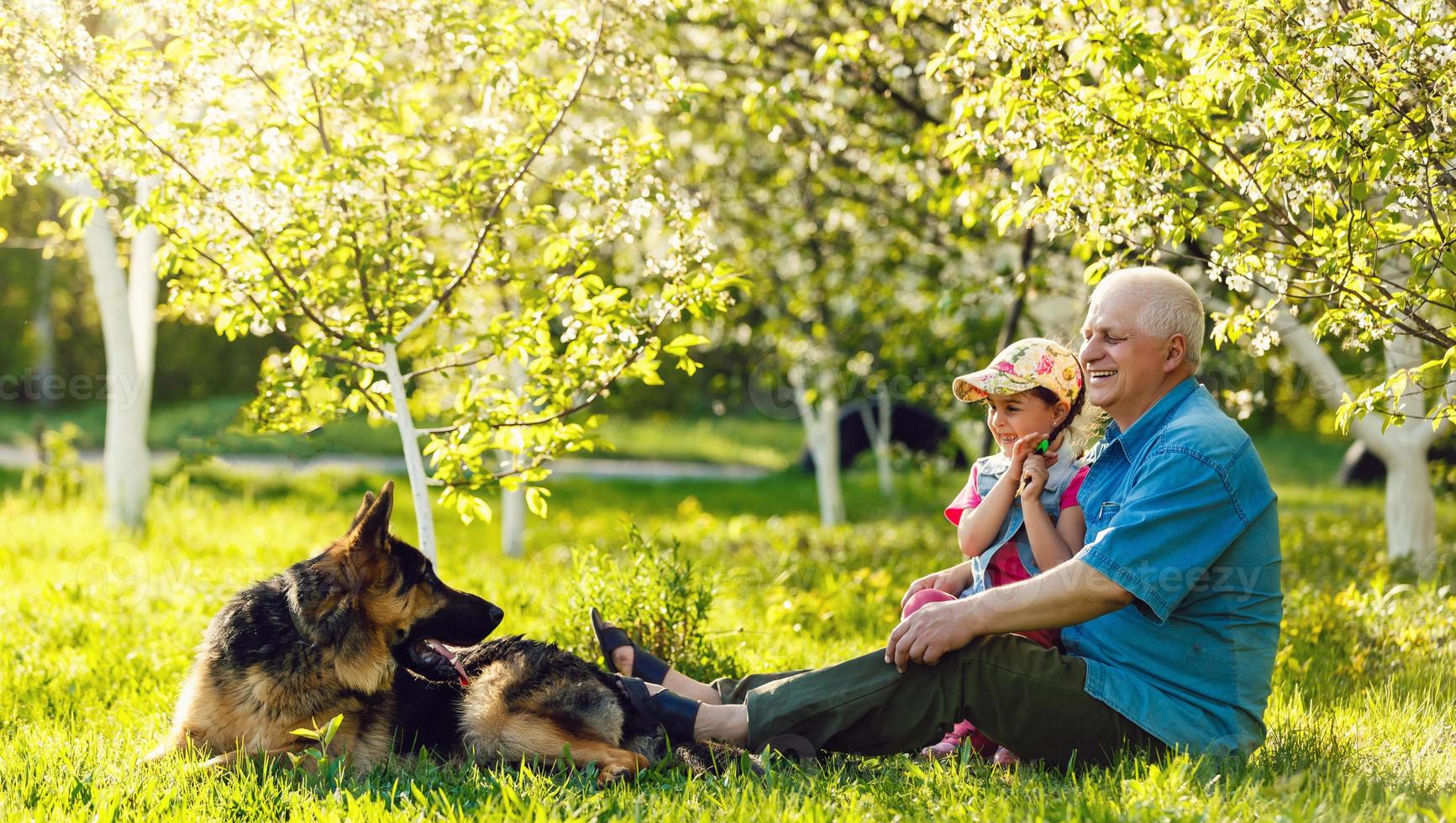Grandfather with granddaughter dog and a dog in the garden photo
