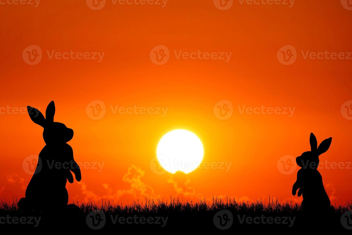 Rabbit silhouette in the meadow. The rabbit symbolizes the year 2023. photo