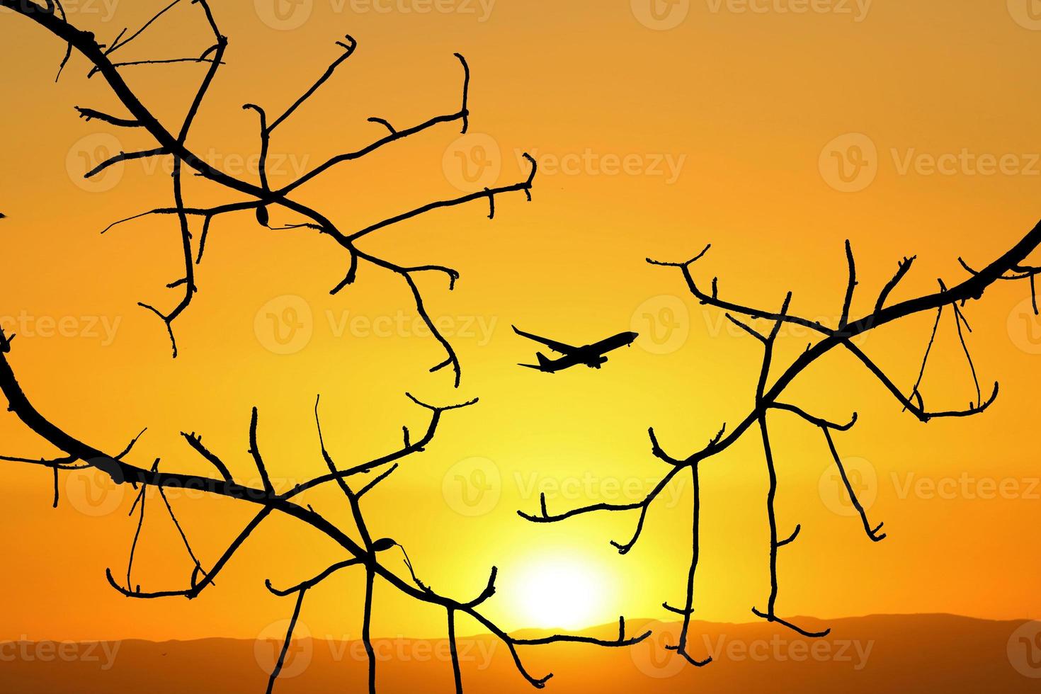 Vacation travel concept. Silhouette of a passenger plane flying in the sky photo