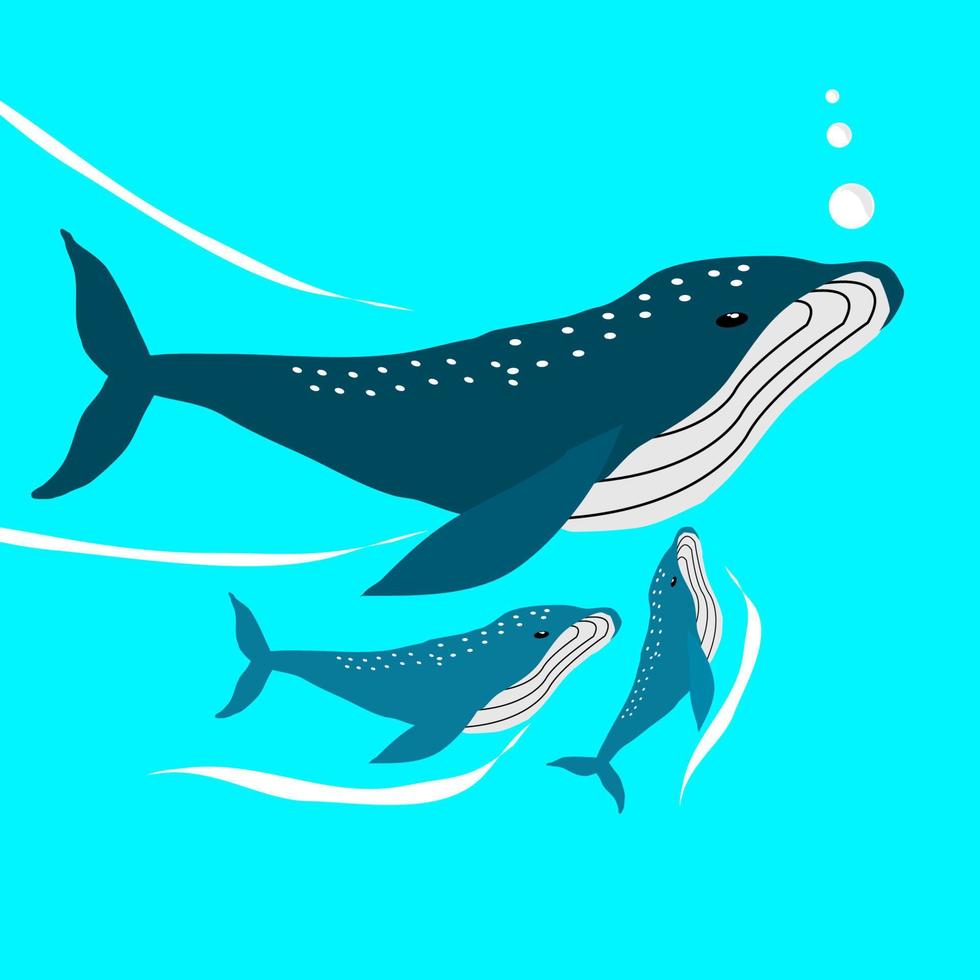 ilustración de vector de océano de ballena azul