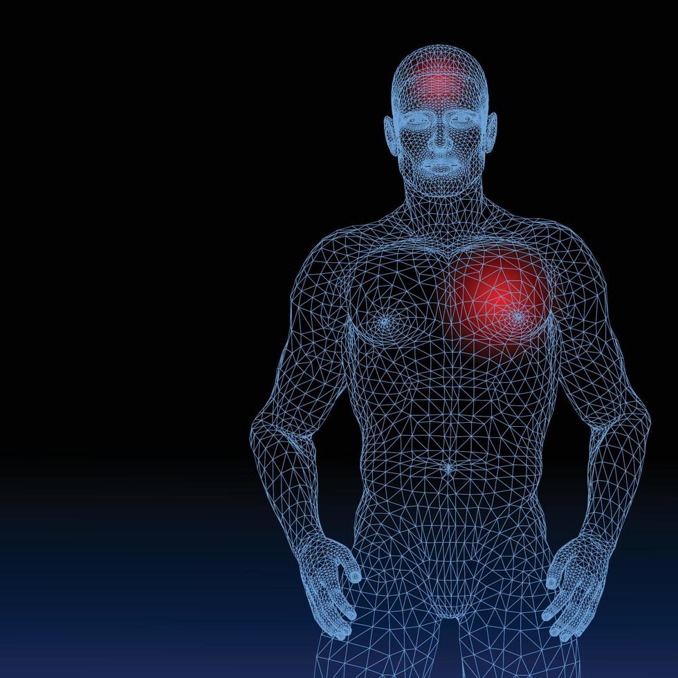 Abstract vector illustration of human body on white background.
