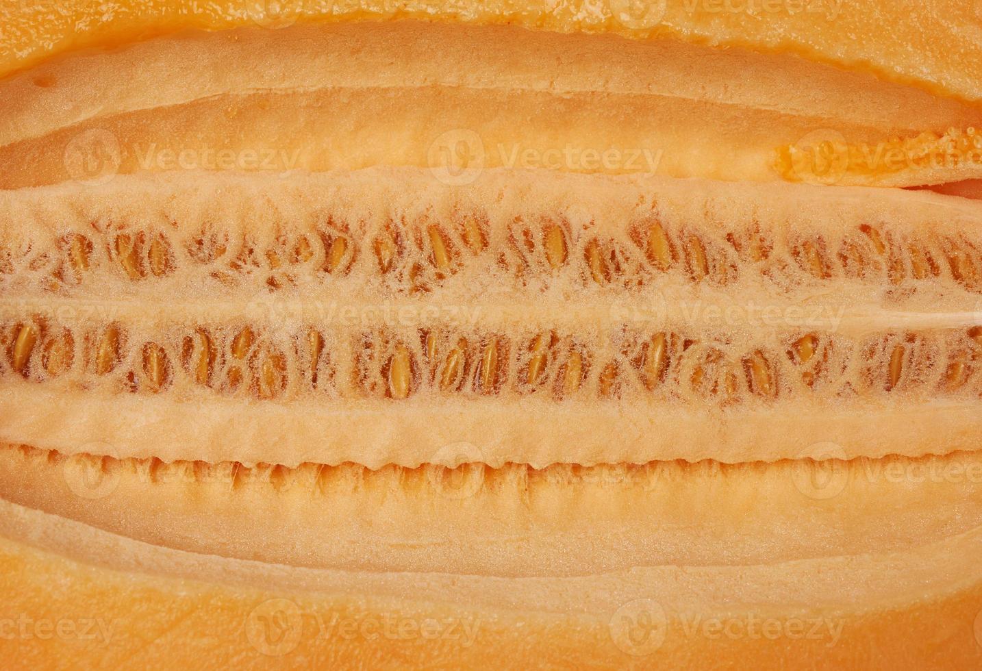texture of orange melon pulp with seeds, full frame photo