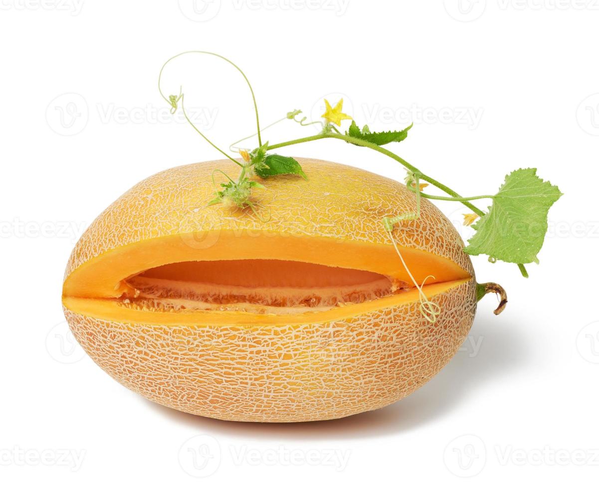ripe juicy orange melon and cut piece with seeds, green shoot with leaves photo