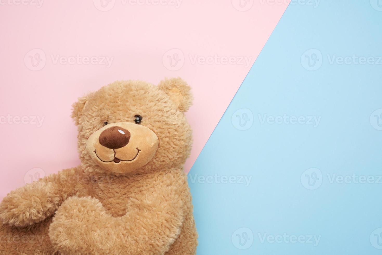 cute brown teddy bear on a pink-blue background, top view photo