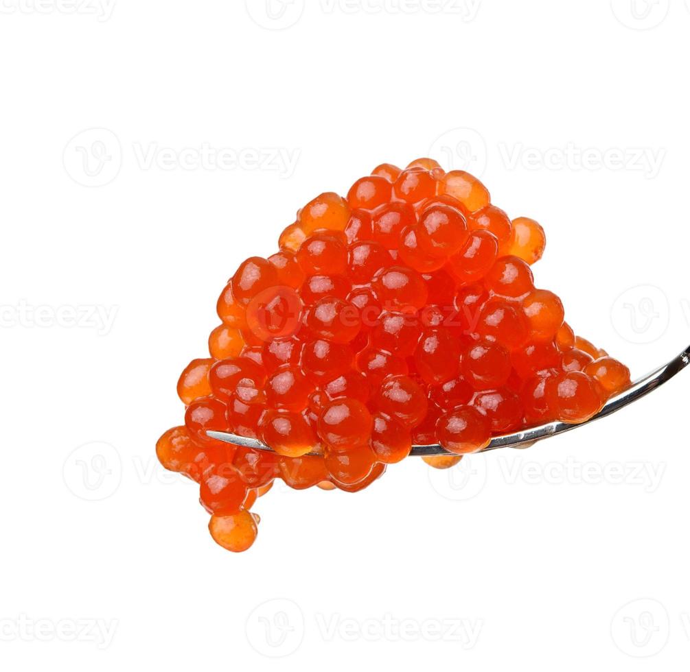 caviar de salmón chum rojo de grano fresco en horquilla metálica, fondo blanco foto