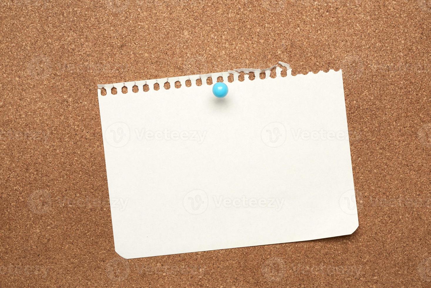 blank white sheet of paper attached with blue button on a brown background photo