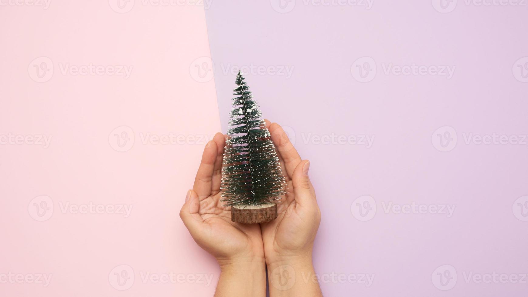 hands holding christmas decor green tree photo