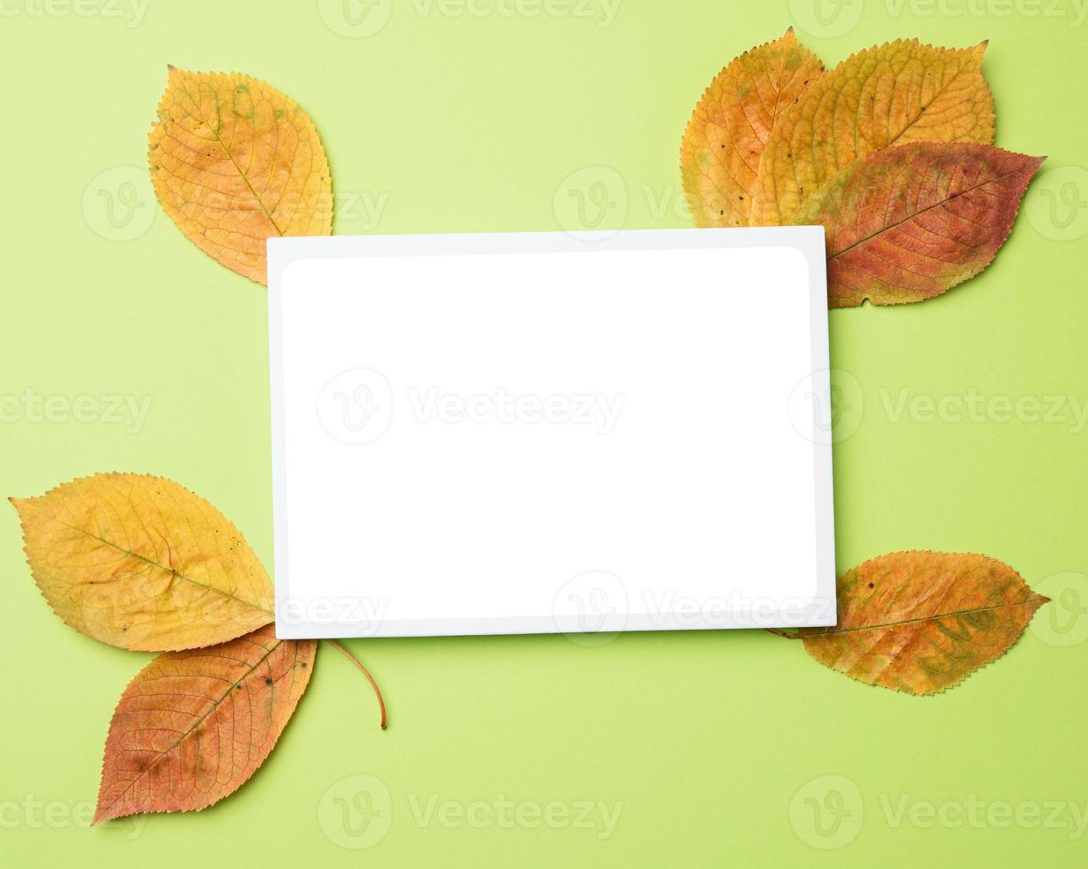 yellow cherry leaves and blank frame template on green background photo