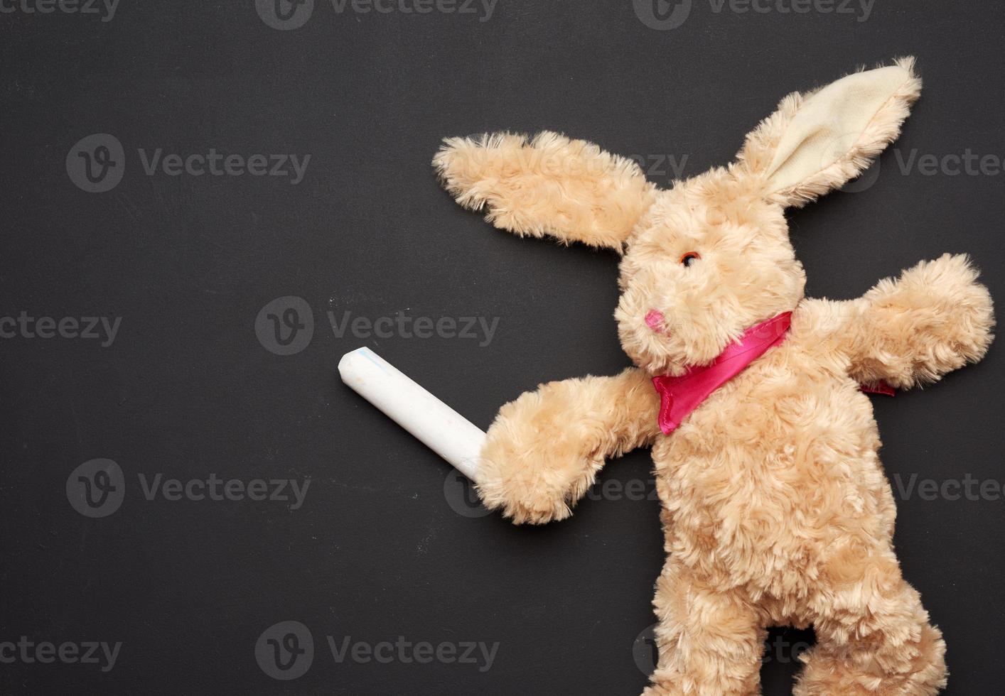 juguete de conejo de peluche beige con orejas largas y tiza blanca en una pata en una pizarra negra foto