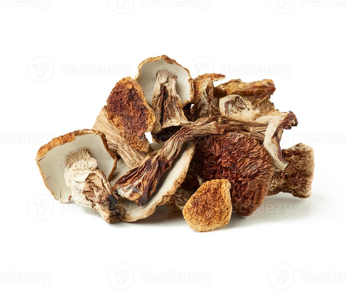 dry forest porcini mushrooms isolated on white background photo