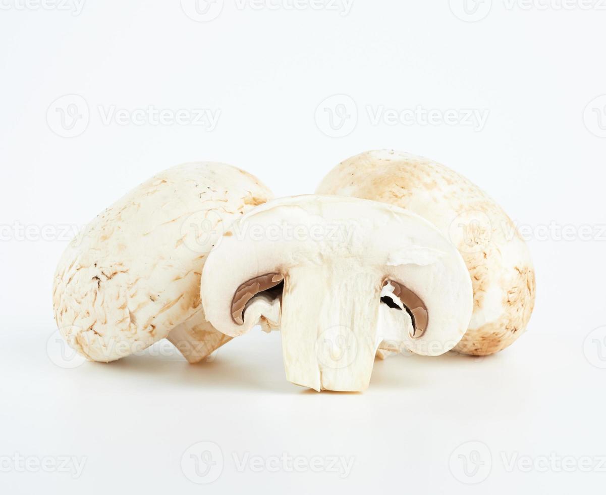 fresh cut mushrooms champignons on white background photo