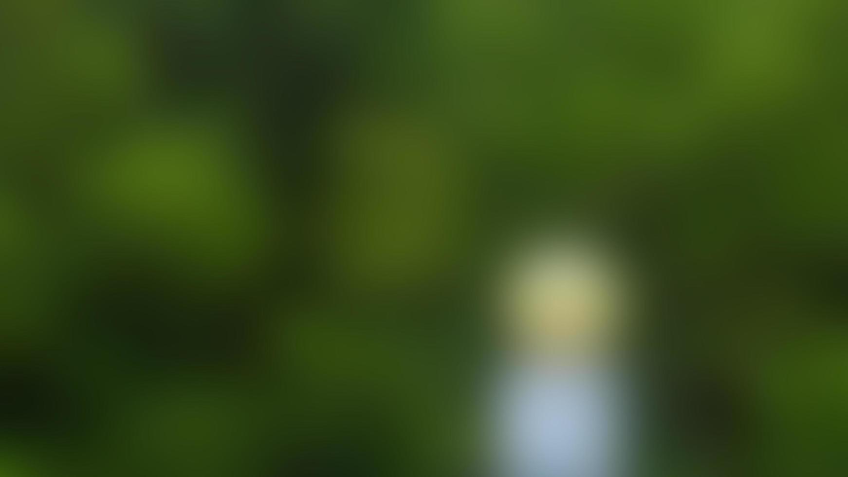 defocused lights on the railing on the pier photo