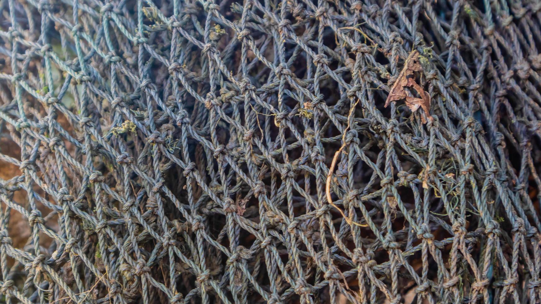 fish mesh texture as background photo
