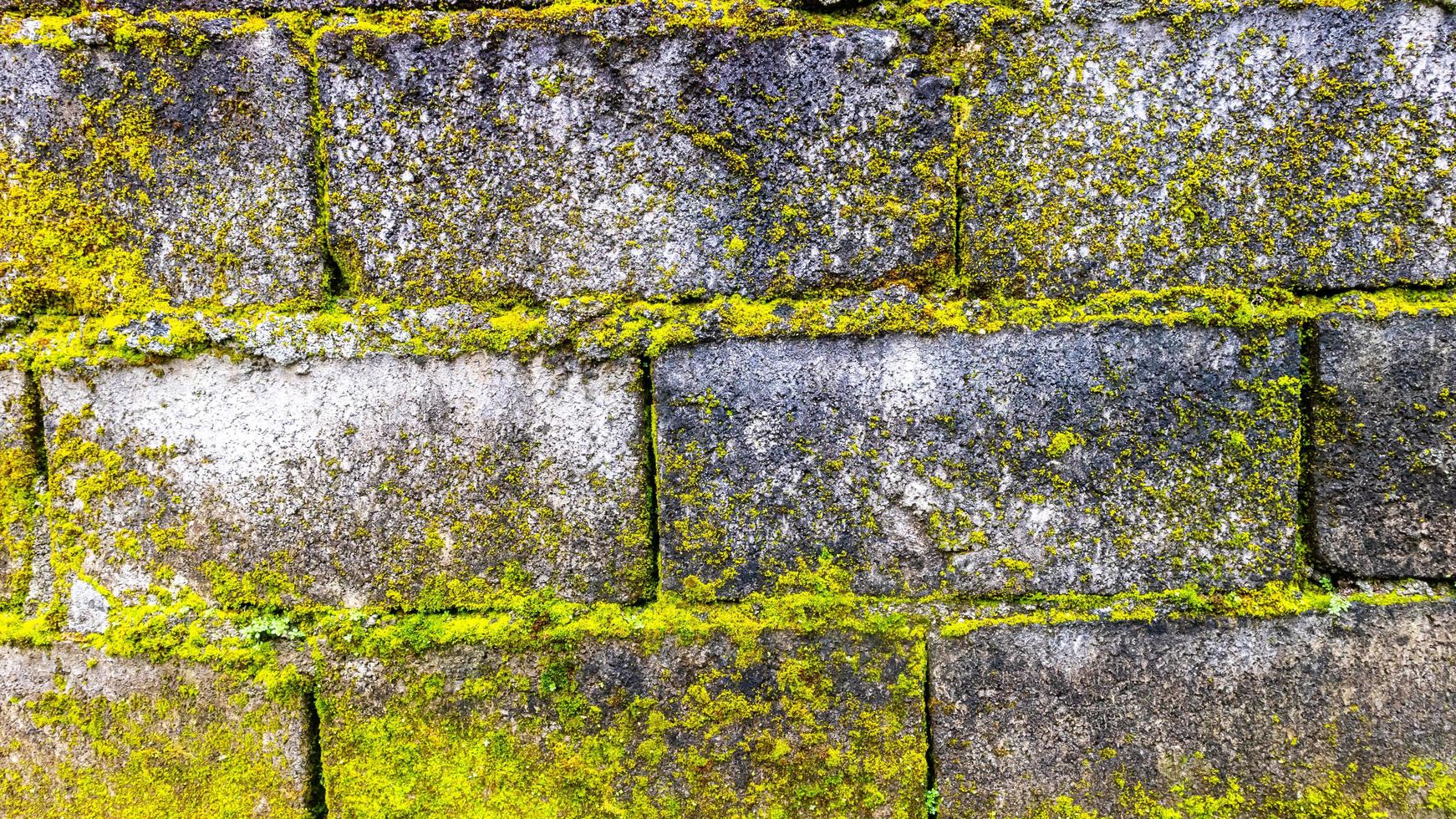 mossy brick wall in the background 17469724 Stock Photo at Vecteezy