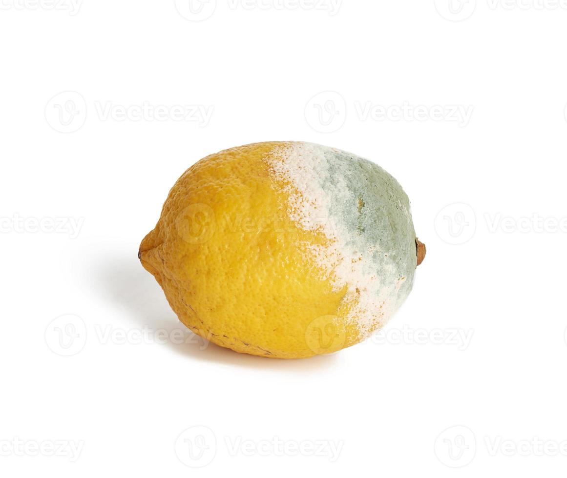 yellow lemon with mold on a white background, top view photo