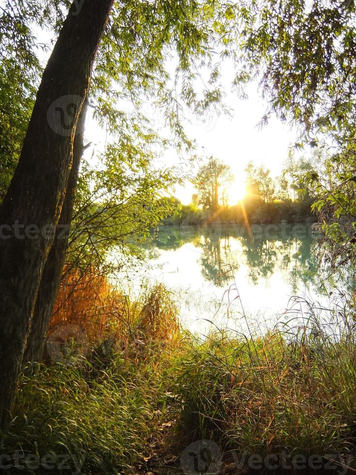 Forest over the sunset photo