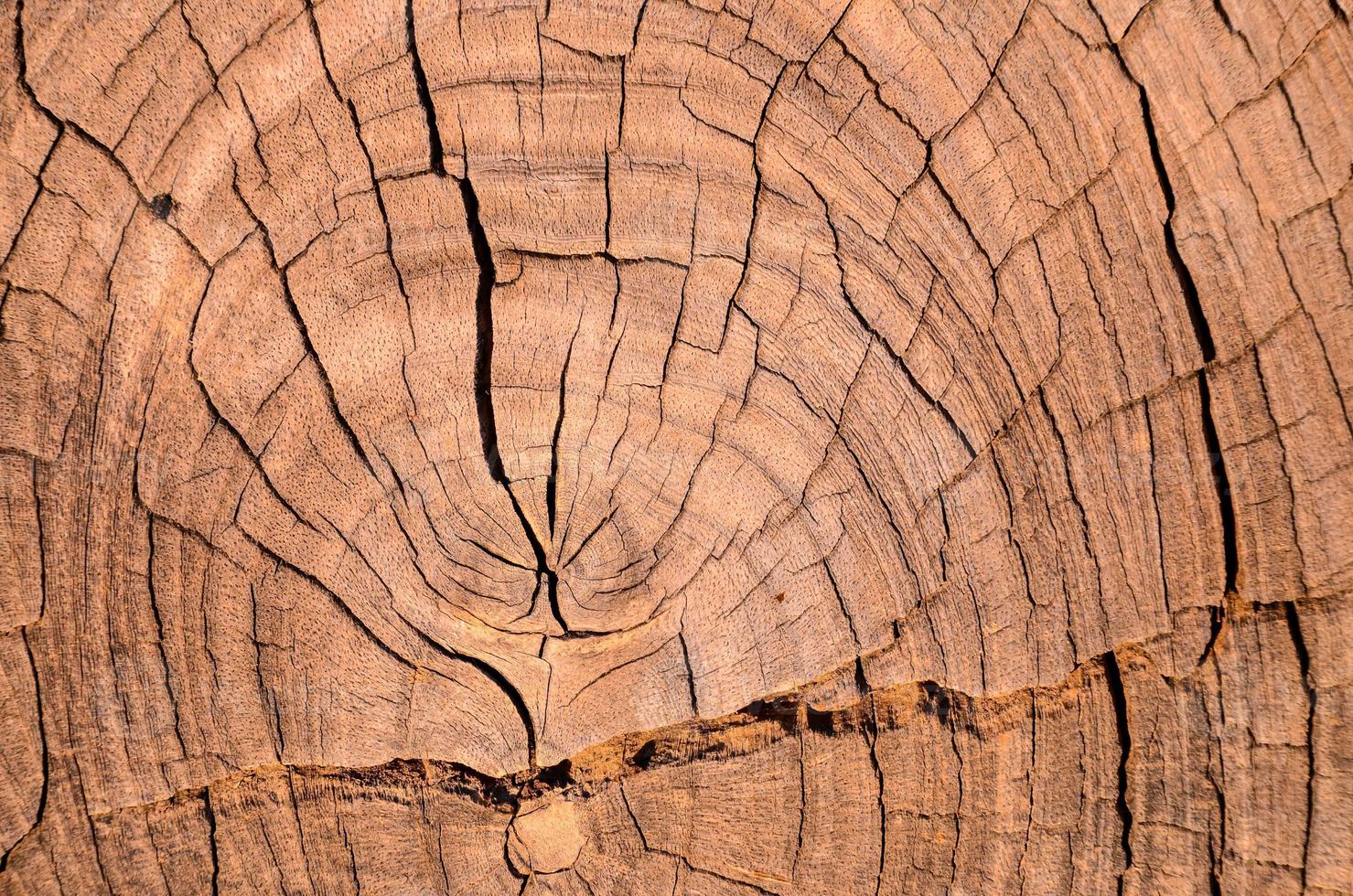 Wooden texture background photo