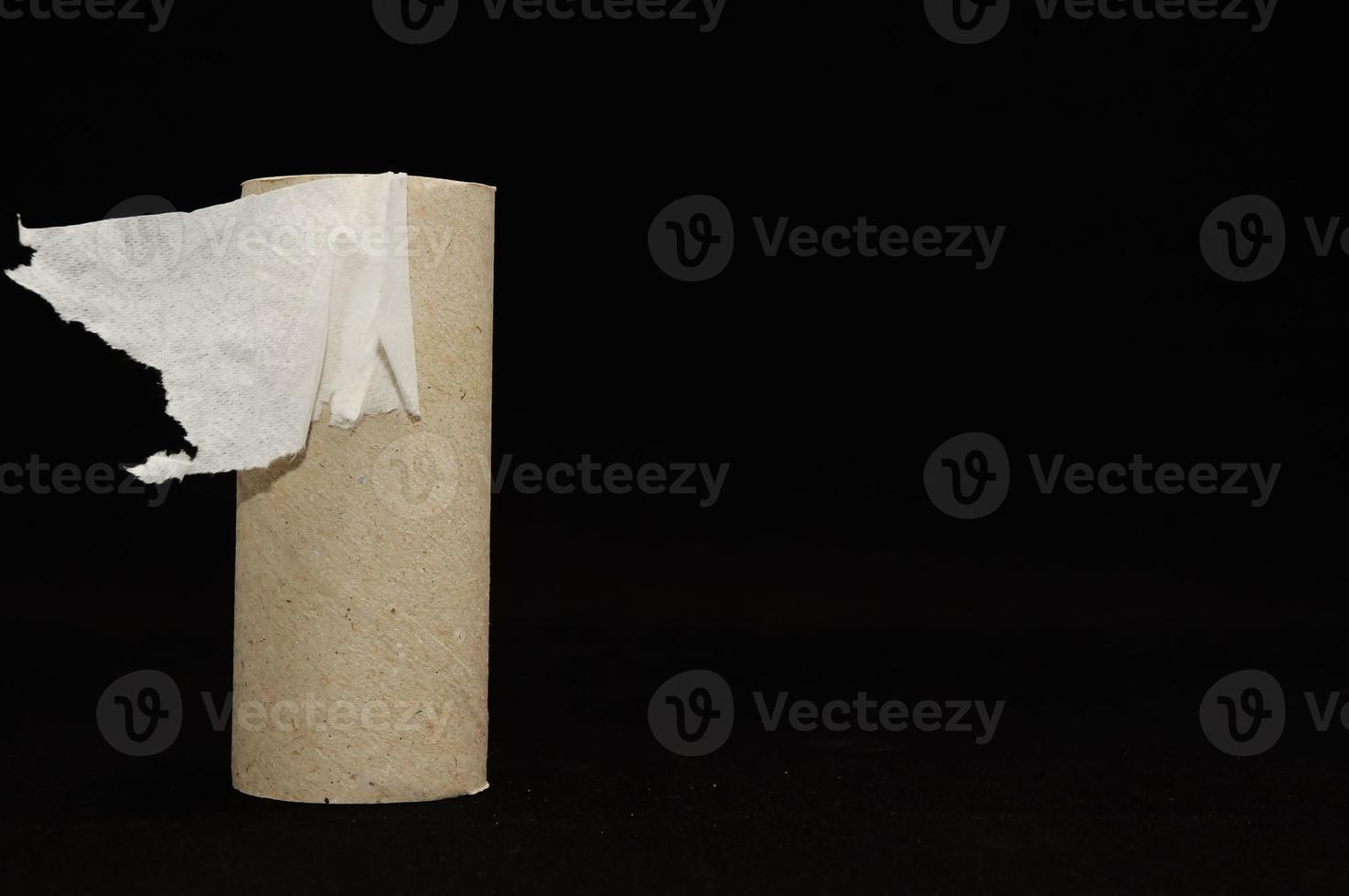 Empty Toilet Paper Roll photo