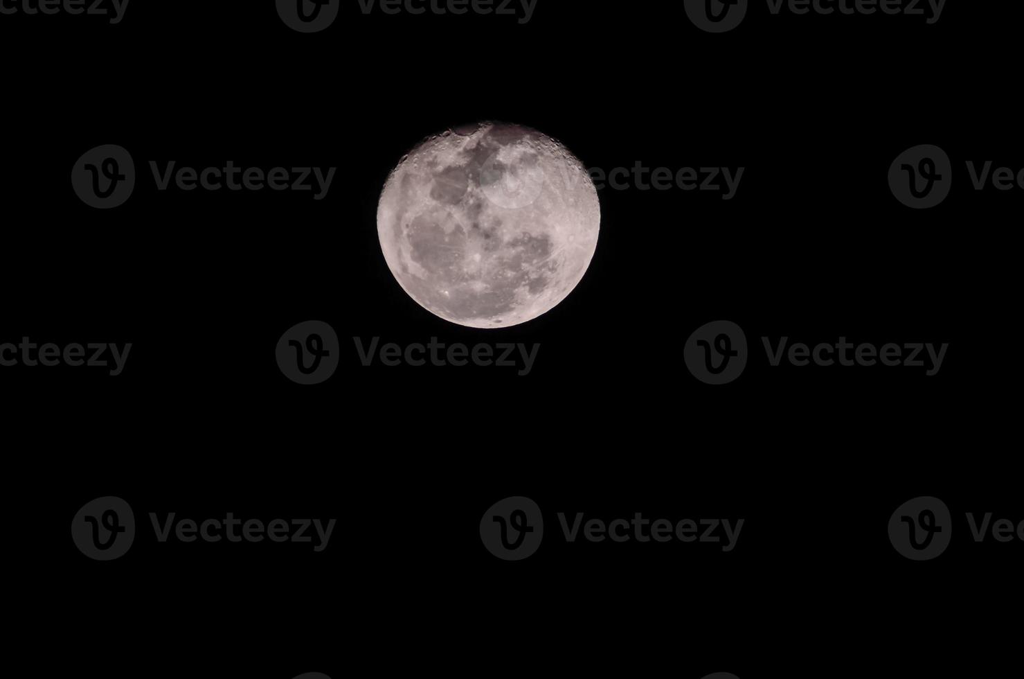 View of the moon photo
