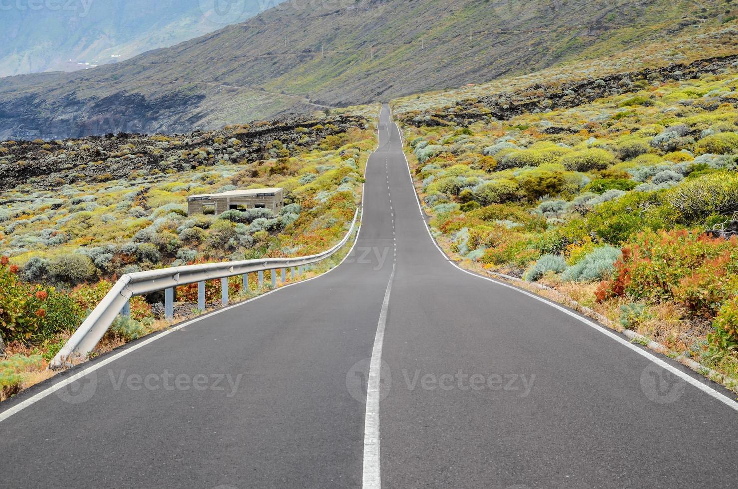 Scenic road view photo