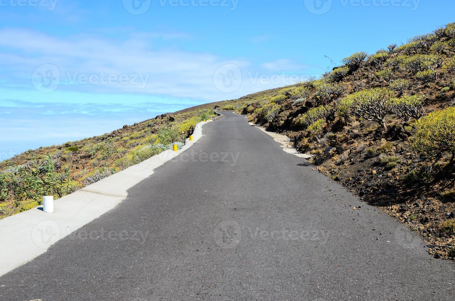 Scenic road view photo