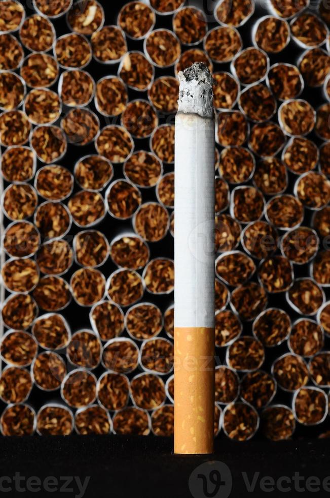 Isolated cigarette for tobacco photo