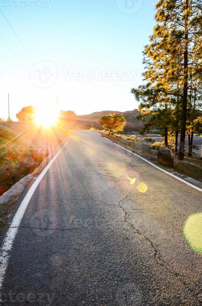 Scenic road view photo