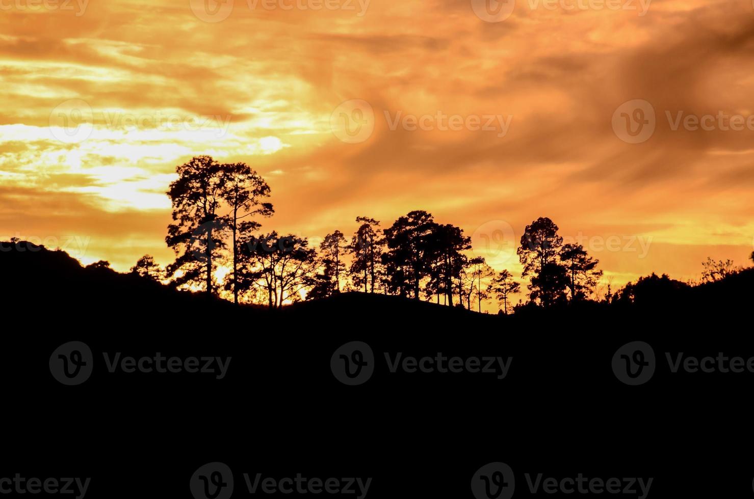 paisaje sobre la puesta de sol foto