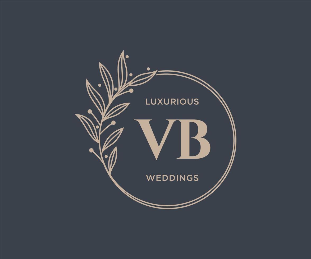 VB Initials letter Wedding monogram logos template, hand drawn modern minimalistic and floral templates for Invitation cards, Save the Date, elegant identity. vector