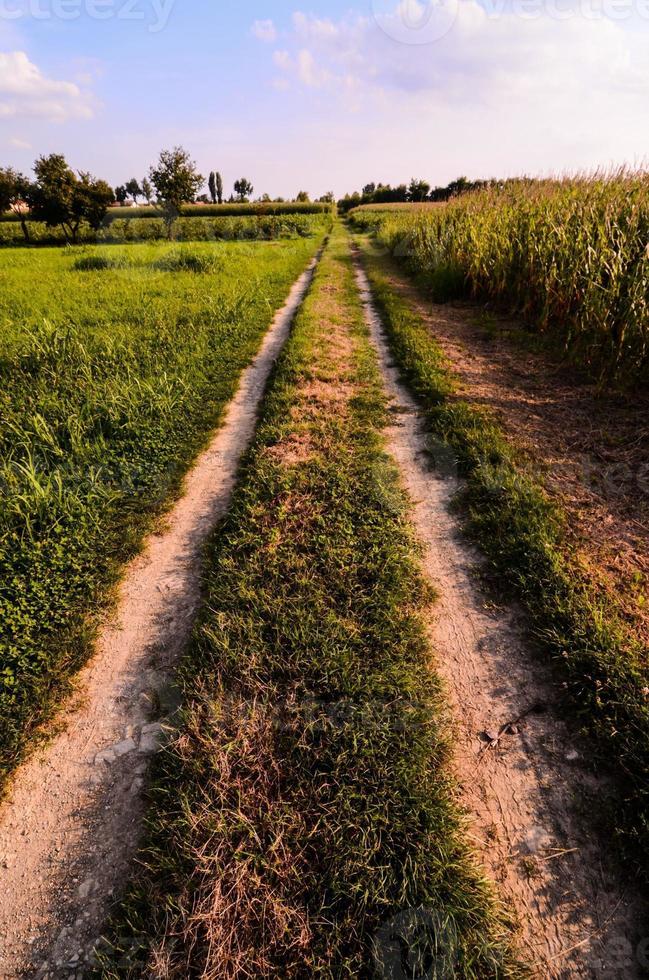 Rural road view photo