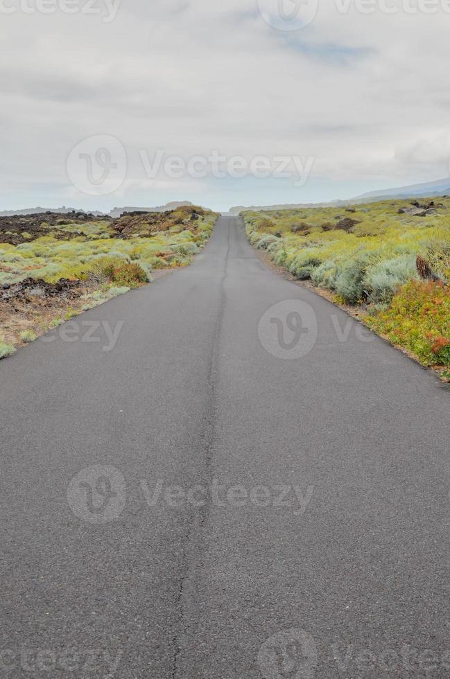 Scenic road view photo