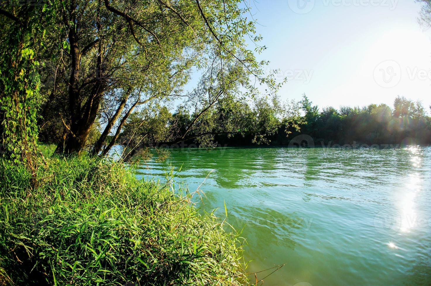 Forest view with river photo