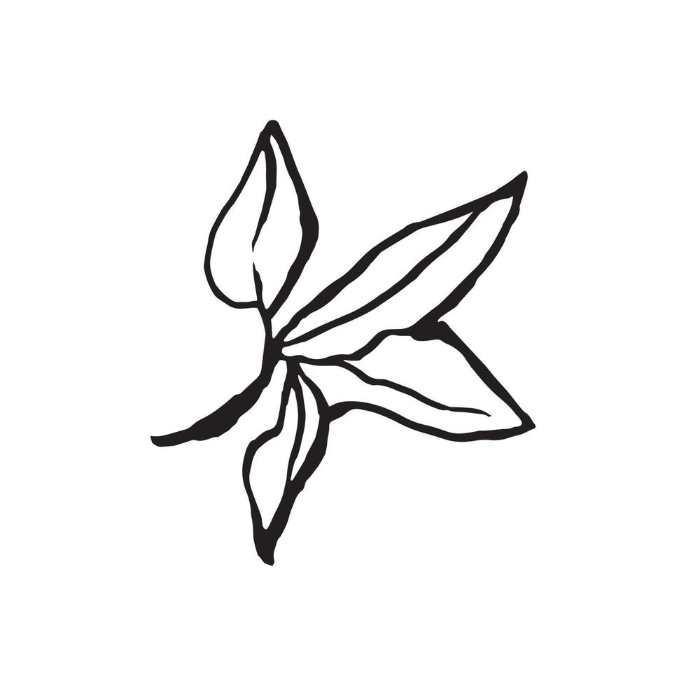 linda hoja dibujada a mano del elemento sakura. flor de primavera tradicional japonesa o china en estilo de tinta. planta de cerezo de fideos. vector