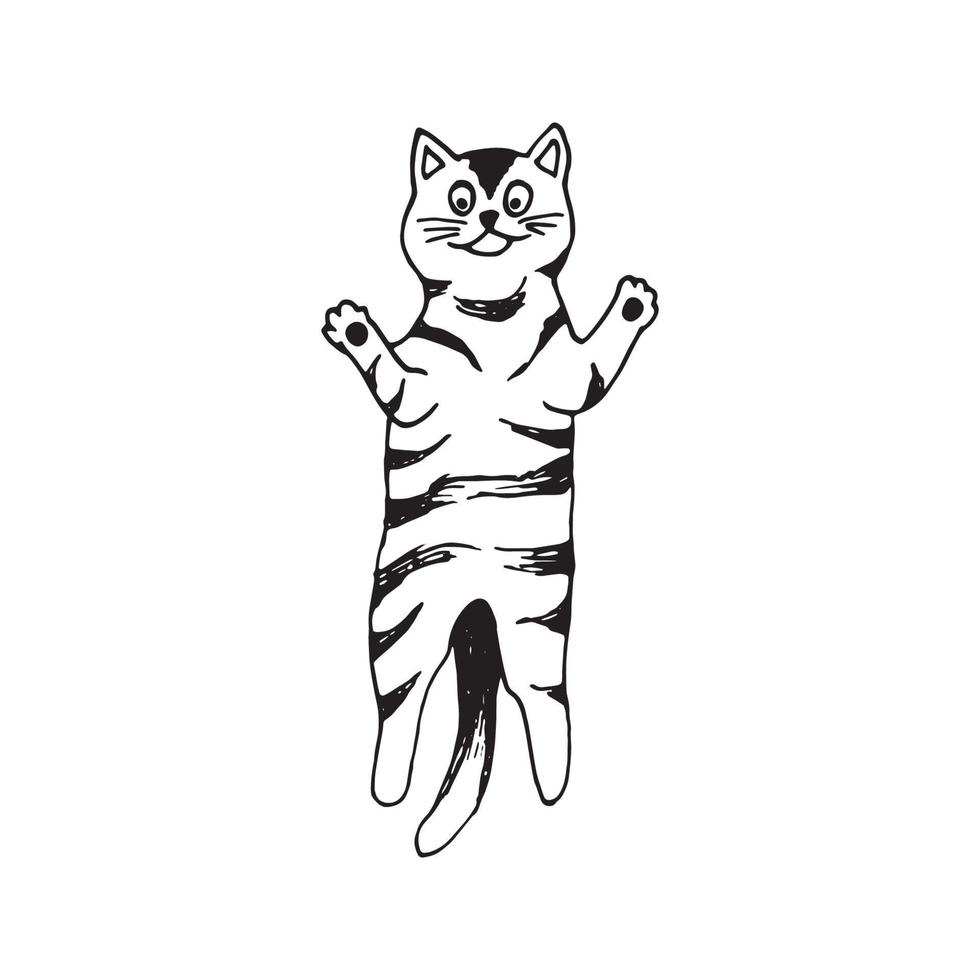 Cute hand drawn cat in jumping motion on white background. Vector adorable animals in trendy Scandinavian style. Funny, cute, hygge illustration for poster, banner, print, decoration kids playroom.