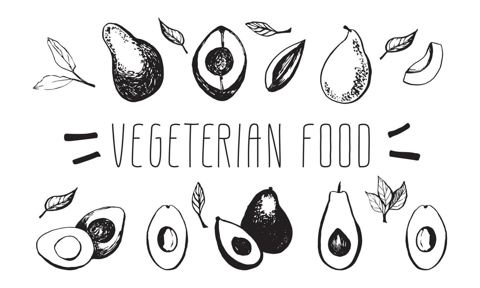 Hand drawn vector avocado set, vegetarian food. Tropical illustration. Food concept for ecological product and advertising.