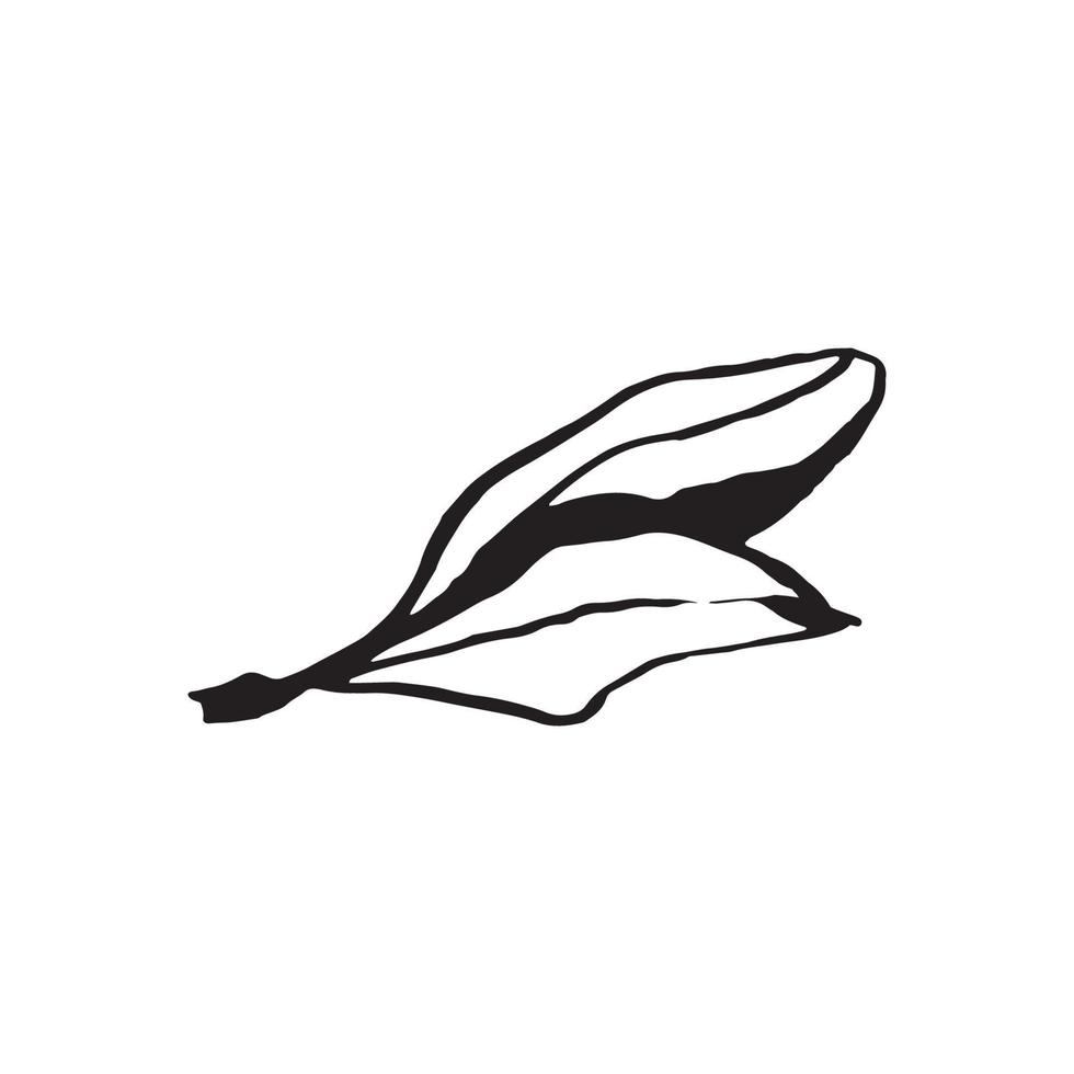 Cute hand drawn single leaf of sakura element. Traditional japanese or chinese spring flower in ink style. Doodle cherry plant. vector