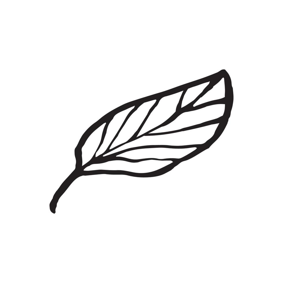 Cute hand drawn single leaf of sakura element. Traditional japanese or chinese spring flower in ink style. Doodle cherry plant. vector
