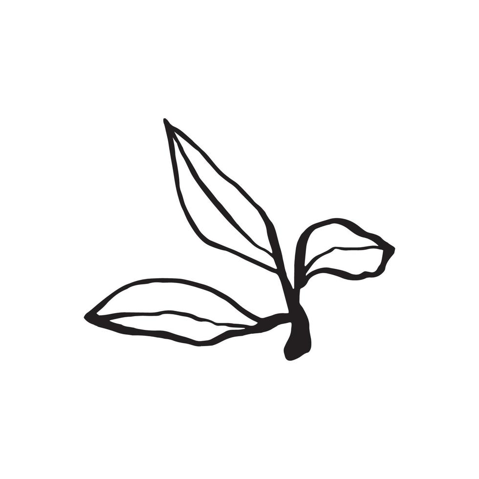 Cute hand drawn single leaf of sakura element. Traditional japanese or chinese spring flower in ink style. Doodle cherry plant. vector