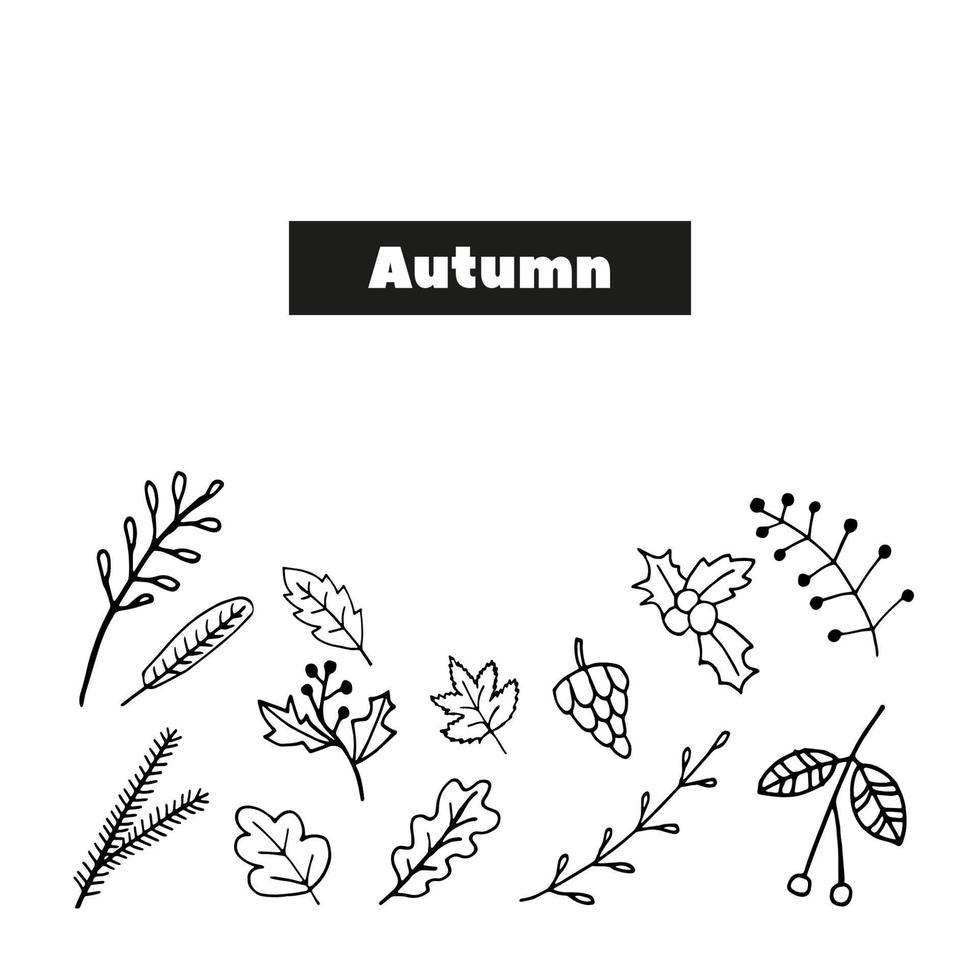 Cute doodle set of Holly, Rowan, leaves, branches, cone, fir tree icons. Hand drawn vector illustration. Winter elements  for greeting cards, posters, stickers and seasonal design.