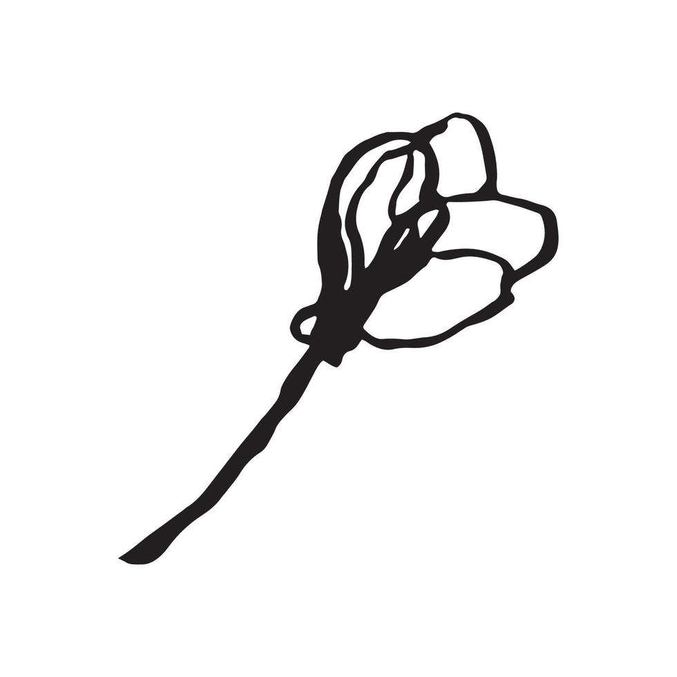 Cute hand drawn single sakura element. Traditional japanese or chinese spring flower in ink style. Doodle cherry plant. vector