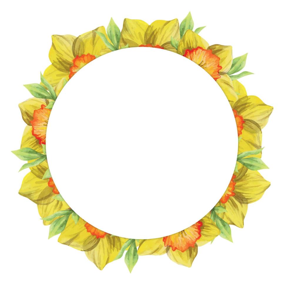 Watercolor hand drawn circle wreath with spring flowers, daffodils, crocus, snowdrops, leaves. Isolated on white background. Design for invitations, wedding, greeting cards, wallpaper, print, textile. vector